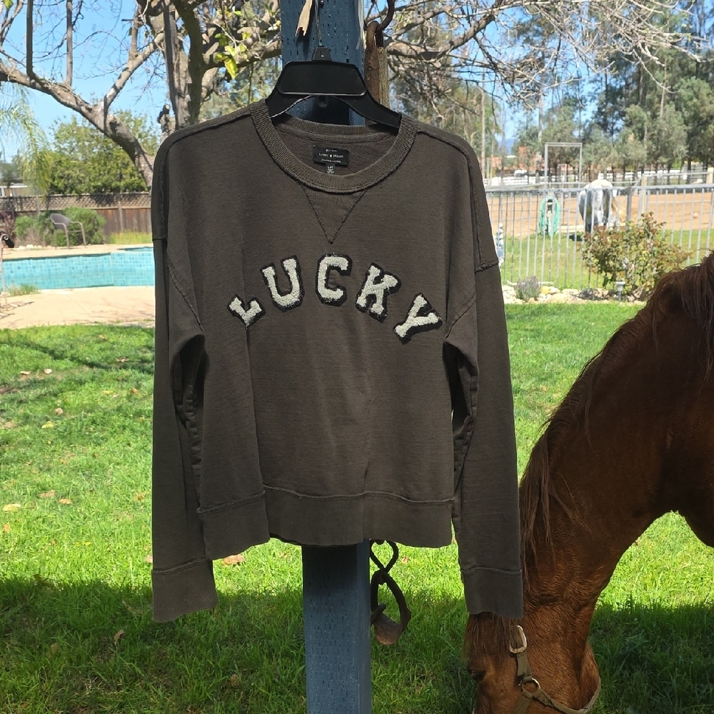 Lucky Brand Brown Pullover